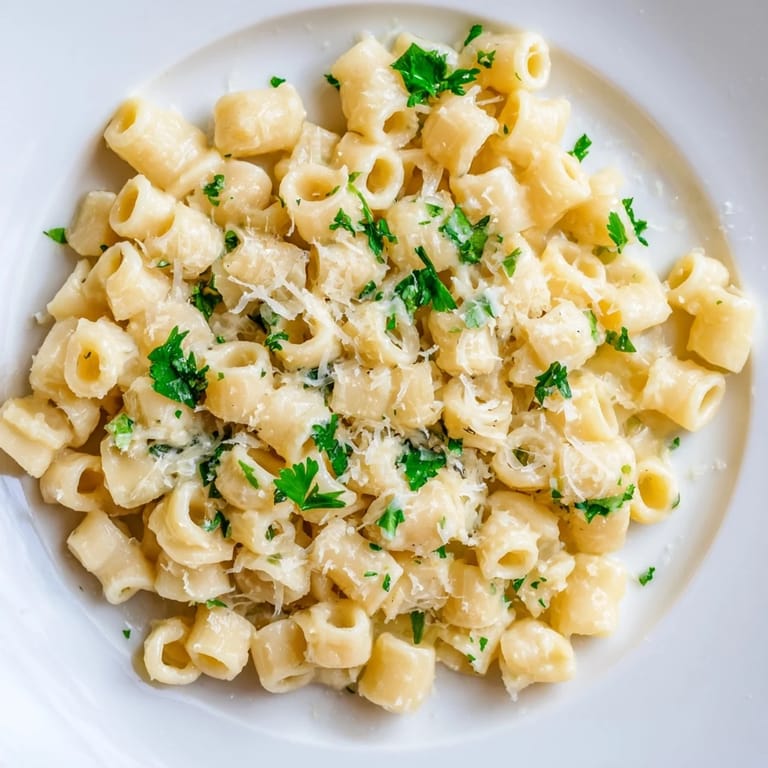 Golden-hued ditalini pasta, infused with garlic and Parmesan, a delicious and easy Italian dinner.